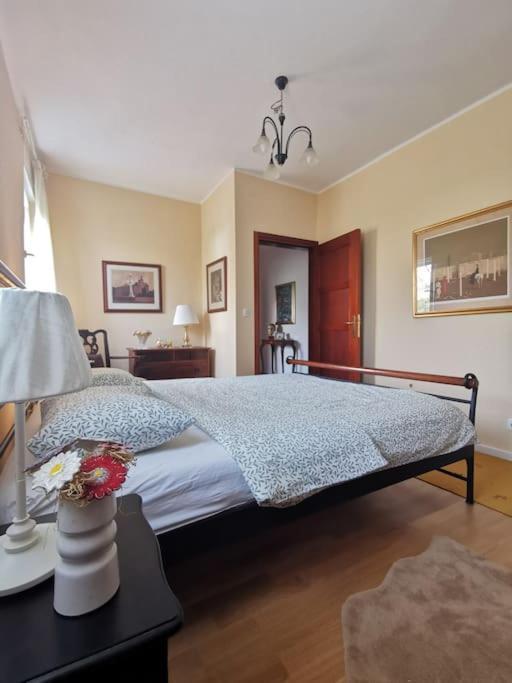 Apartman Ground Floor Homey In A Country *