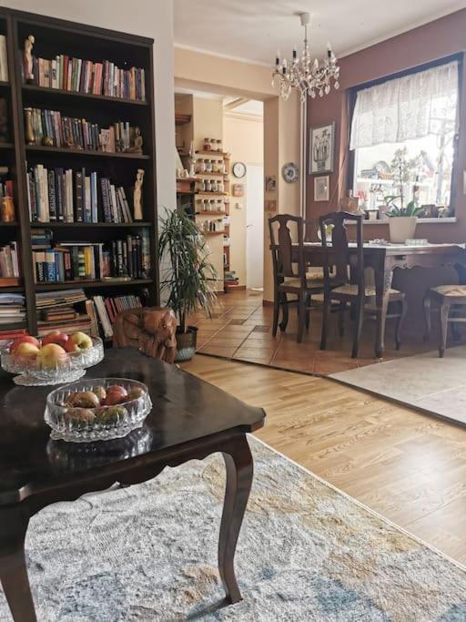 Apartman Ground Floor Homey In A Country